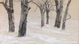 Kahle Bäume im Winter, Emilie Mediz-Pelikan, 1897 von Atelier Liesjes