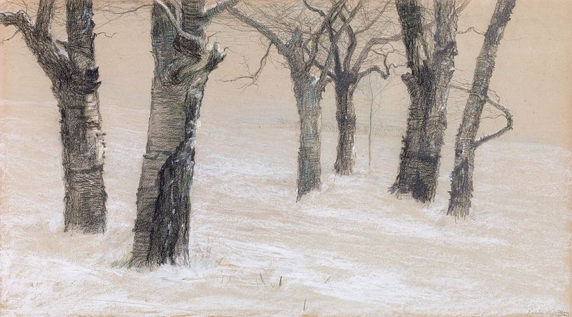 Kahle Bäume im Winter, Emilie Mediz-Pelikan, 1897 von Atelier Liesjes