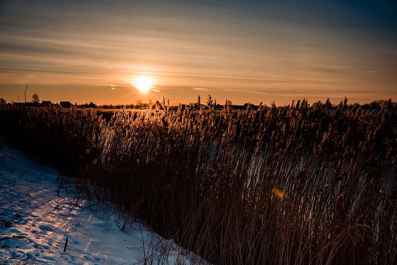 Zonsopgang in Eemnesserpolder van Carina Calis