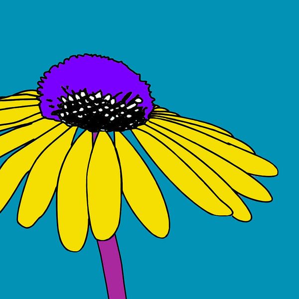 Common coneflower III by Kay Weber