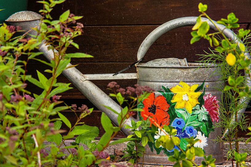 Wald Blumen Feld Landschaft Erzgebirge Pilze von Johnny Flash