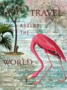 Flamingos world tour by christine b-b müller thumbnail