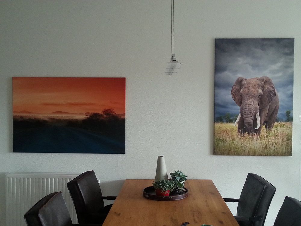 Zonsopgang in Zambia van Awesome Wonder