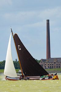 Skûtsje zeilboot op het IJsselmeer van Sjoerd van der Wal Fotografie