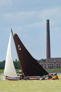 Skûtsje klassisches friesisches Schiff Segelboot