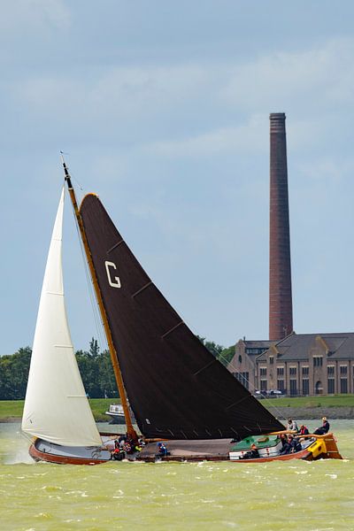 Skûtsje klassisches friesisches Schiff Segelboot von Sjoerd van der Wal Fotografie