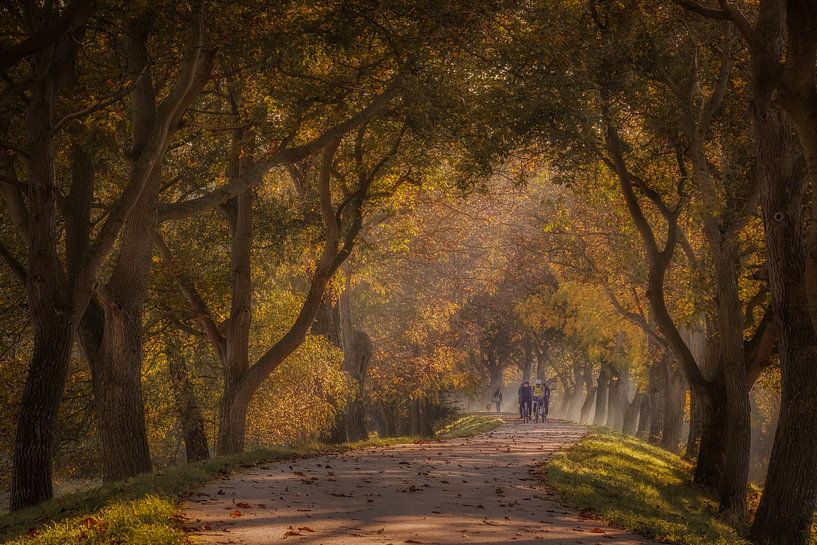 Cyclists on the Marienwaerdt Estate by Moetwil en van Dijk - Fotografie