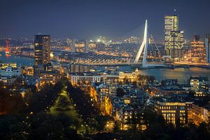 Rotterdam vanaf de Euromast van Martin Podt