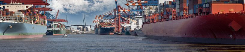 Des porte-conteneurs et des grues portuaires dans un port animé par Jonas Weinitschke