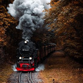 Autumn steam train Harz Duisland by Shorty's adventure