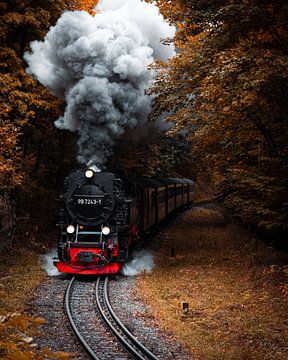 Stoomtrein Harz Duisland herfst van Shorty's adventure