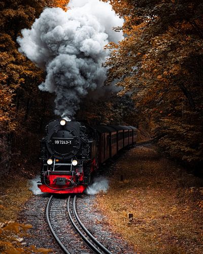 Stoomtrein Harz Duisland herfst