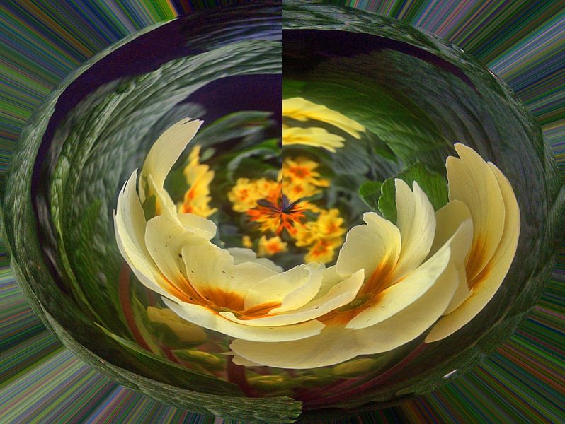 Viooltjes van Edgar Schermaul