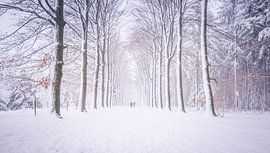 Code Orange by Sander Peters