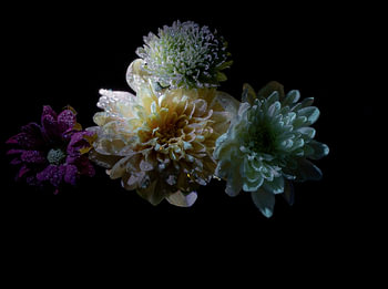 Fleurs