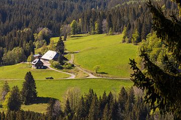 Bauernhaus im Hochschwarzwald von Werner Dieterich