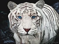 Nachtschaduw: de witte tijger