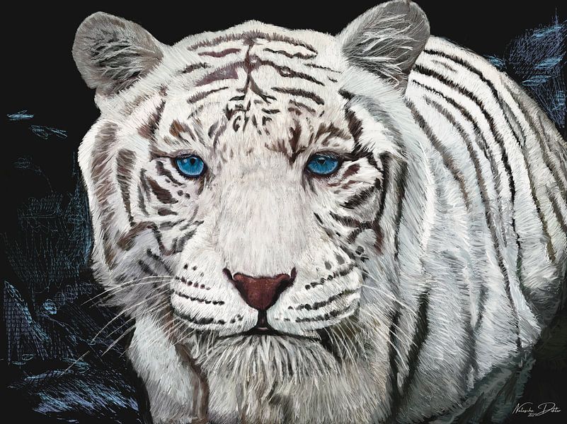 Nightshade : le tigre blanc par Natascha Dokter