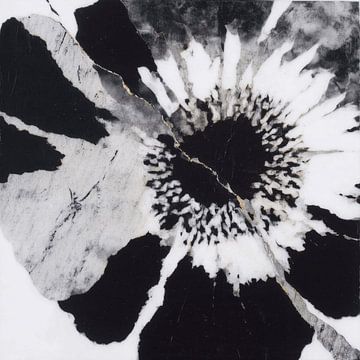 Mohnblumenzentrum mit goldener Ader