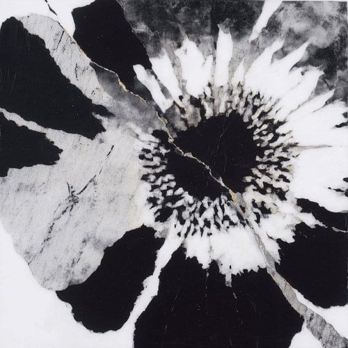 Poppy Center met gouden ader