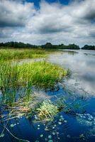 Beeld vanuit natuurontwikkeling Millingerwaard