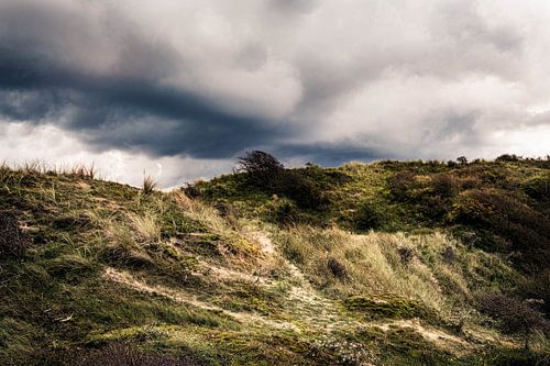 Dreigende wolken lucht boven een duin
