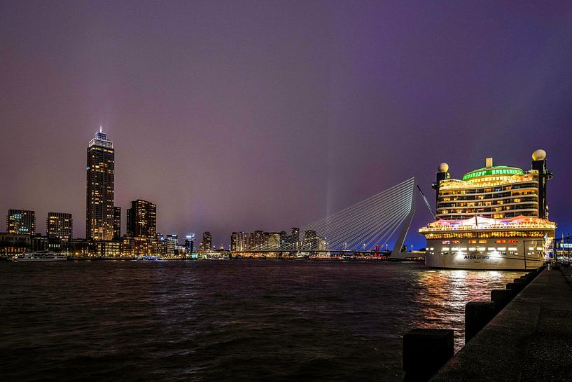 View of the Erasmus Bridge by Dirk van Egmond