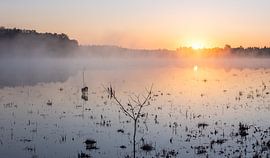 Morgenstond van Angela Kraan