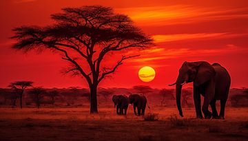 Olifanten in afrika bij zonsondergang  panorama rood-oranje van TheXclusive Art