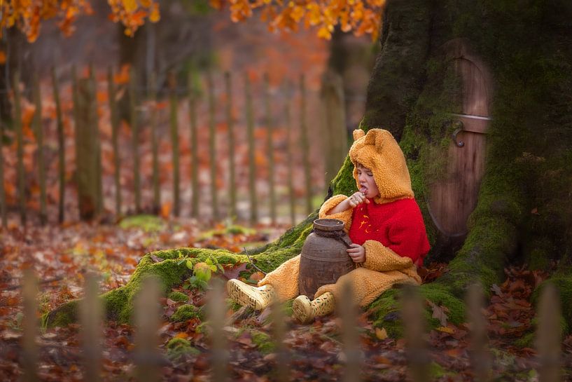 Winnie the pooh van Elke De Proost