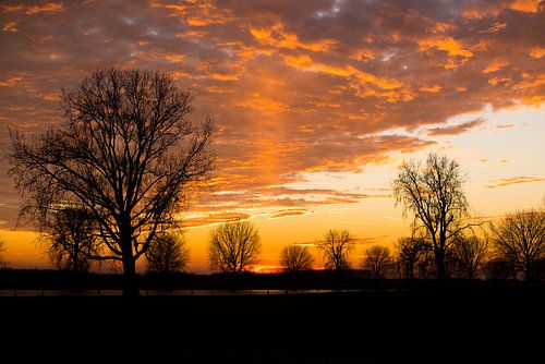 Sunset at the Maas 2