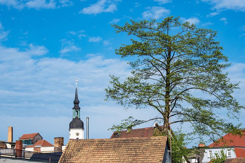 Kirchturm, Dächer und Baum in Lübbenau par Rico Ködder