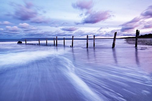Wooden poles at the Baltic Sea beach in the evening light