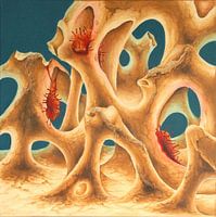 Mystery Of The Invisible World