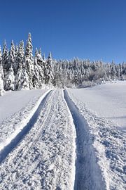 A country road after the storm by Claude Laprise