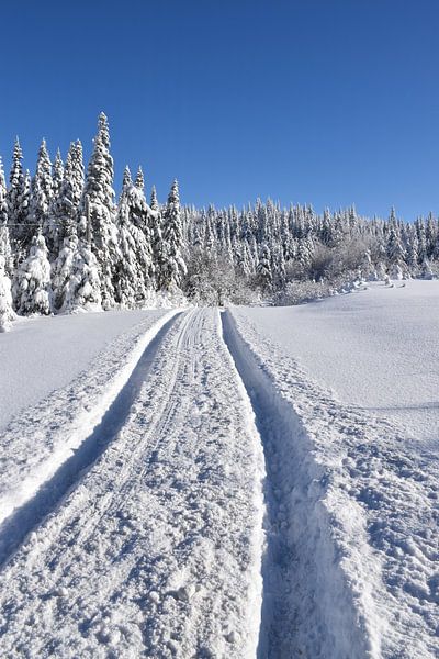 Eine Landstraße nach dem Sturm von Claude Laprise