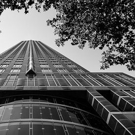 Abstract skyscraper in black and white by Cynthia Hasenbos