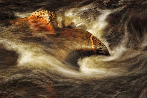 Wild streams in the Ardennes