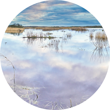 Callantsoog vanuit het Zwanenwater natuurgebied in de winter van eric van der eijk