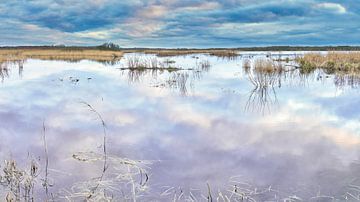 Callantsoog vanuit het Zwanenwater natuurgebied in de winter van eric van der eijk