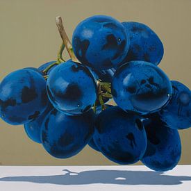Drijvende druiven van Dietrich Moravec
