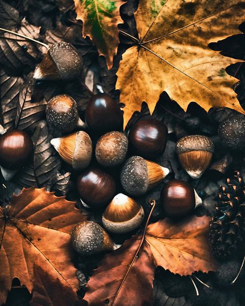 Herbststimmung von fernlichtsicht