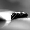 escargot sur hetty'sfotografie