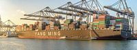 Containerschepen in de haven van Rotterdam van Sjoerd van der Wal Fotografie thumbnail