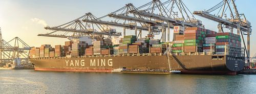 Containerschepen in de haven van Rotterdam