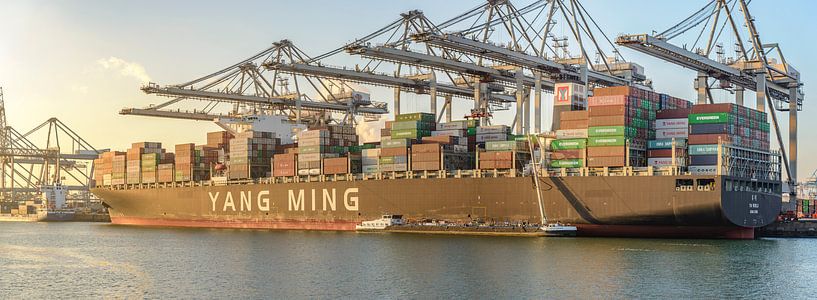 Containerschepen in de haven van Rotterdam van Sjoerd van der Wal Fotografie