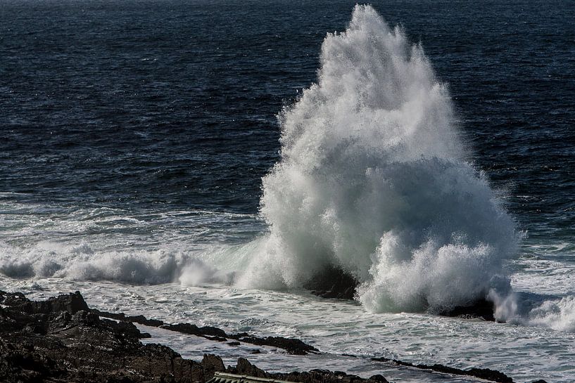 Waves van Guus Quaedvlieg