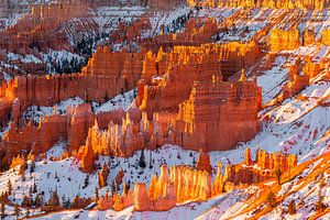 Wintersonnenaufgang im Bryce Canyon N.P., Utah