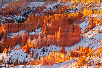 Winter zonsopkomst in Bryce Canyon N.P, Utah