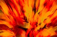 Herfstkleuren